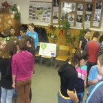 FENYESLITKE_HETI_2_A_0 (4)