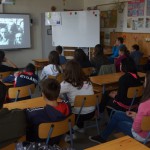 FENYESLITKE_HETI_10_A_ (9)
