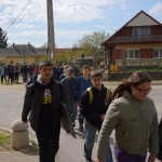 FENYESLITKE_HETI_11_A_ (1)