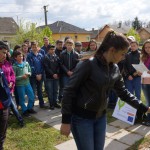FENYESLITKE_HETI_11_A_ (11)