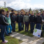 FENYESLITKE_HETI_11_A_ (15)