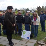 FENYESLITKE_HETI_11_A_ (18)