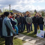 FENYESLITKE_HETI_11_A_ (19)