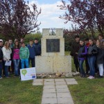 FENYESLITKE_HETI_11_A_ (21)