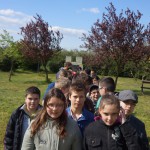 FENYESLITKE_HETI_11_A_ (29)