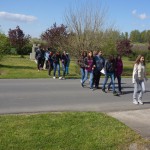 FENYESLITKE_HETI_11_A_ (30)