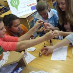 FENYESLITKE_HETI_15_A_ (11)
