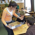 FENYESLITKE_HETI_15_A_ (8)