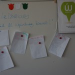 FENYESLITKE_HETI_16_A_ (20)
