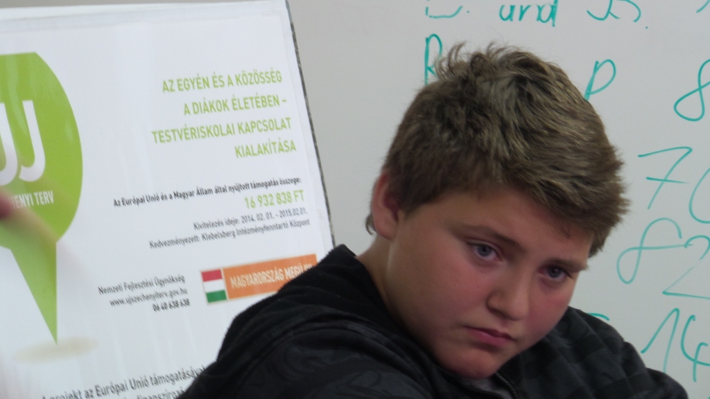 FENYESLITKE_A_PALYAORIENTCAIO (12)