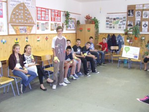 fenyeslitke_heti_17_A_ (11)