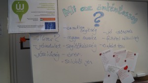 fenyeslitke_heti_21_A_ (5)
